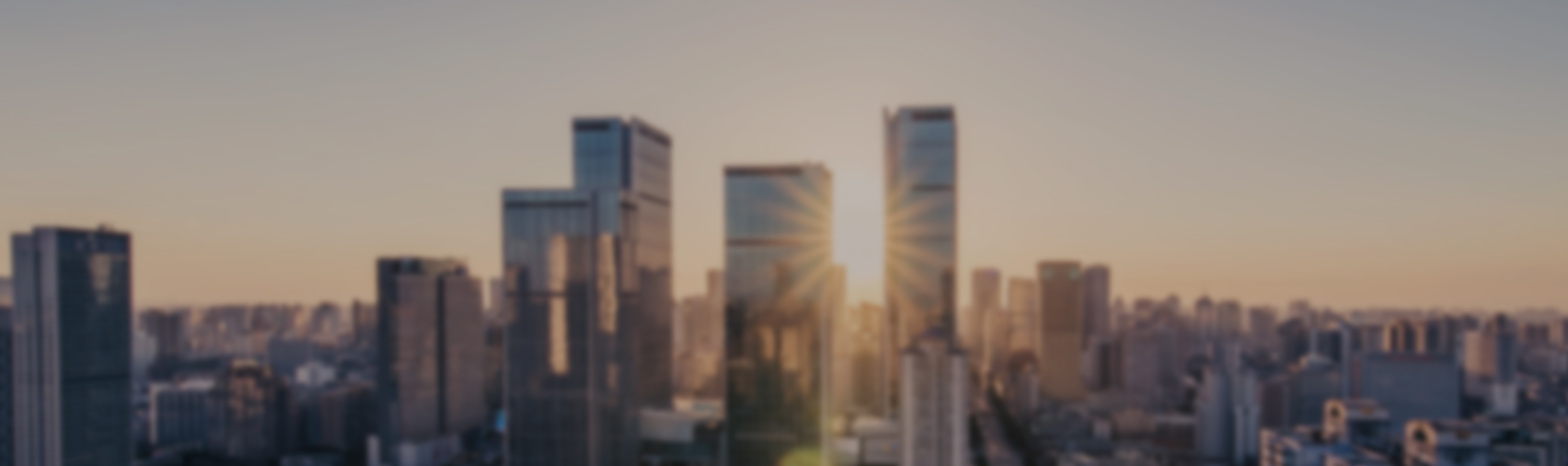 Company Profile